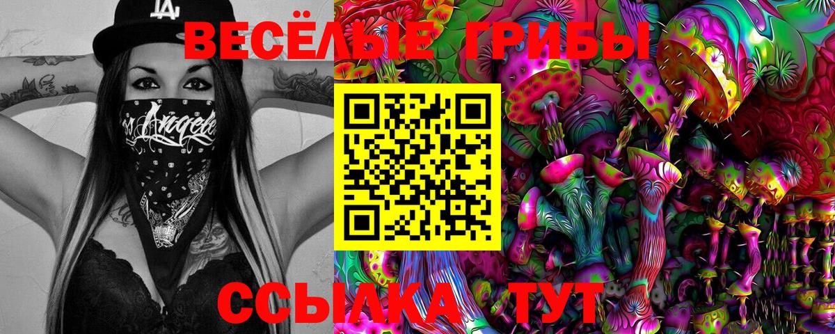 Галлюциногенные грибы GOLDEN TEACHER Унеча