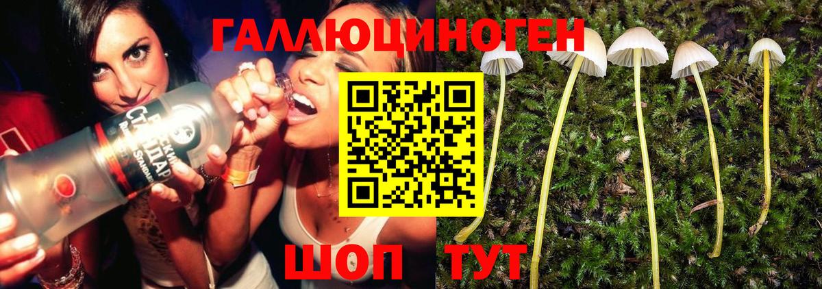 Псилоцибиновые грибы GOLDEN TEACHER  как найти наркотики  Унеча 